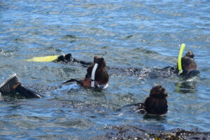 AdventureFitNESSSnorkleingRamIsland_0059