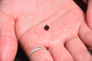 AdventureFitNESSSnorkleingRamIsland_0062