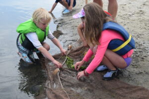 NapatreeBayBounders_0102