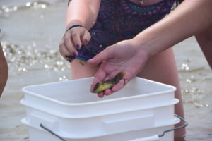 OceanExplorersRamIsland_0268