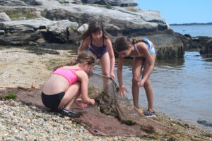 OceanExplorersRamIsland_0305