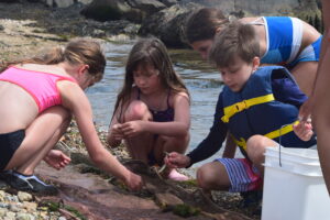 OceanExplorersRamIsland_0306