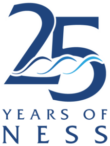 rgb transparent ness25yearslogo logo 01