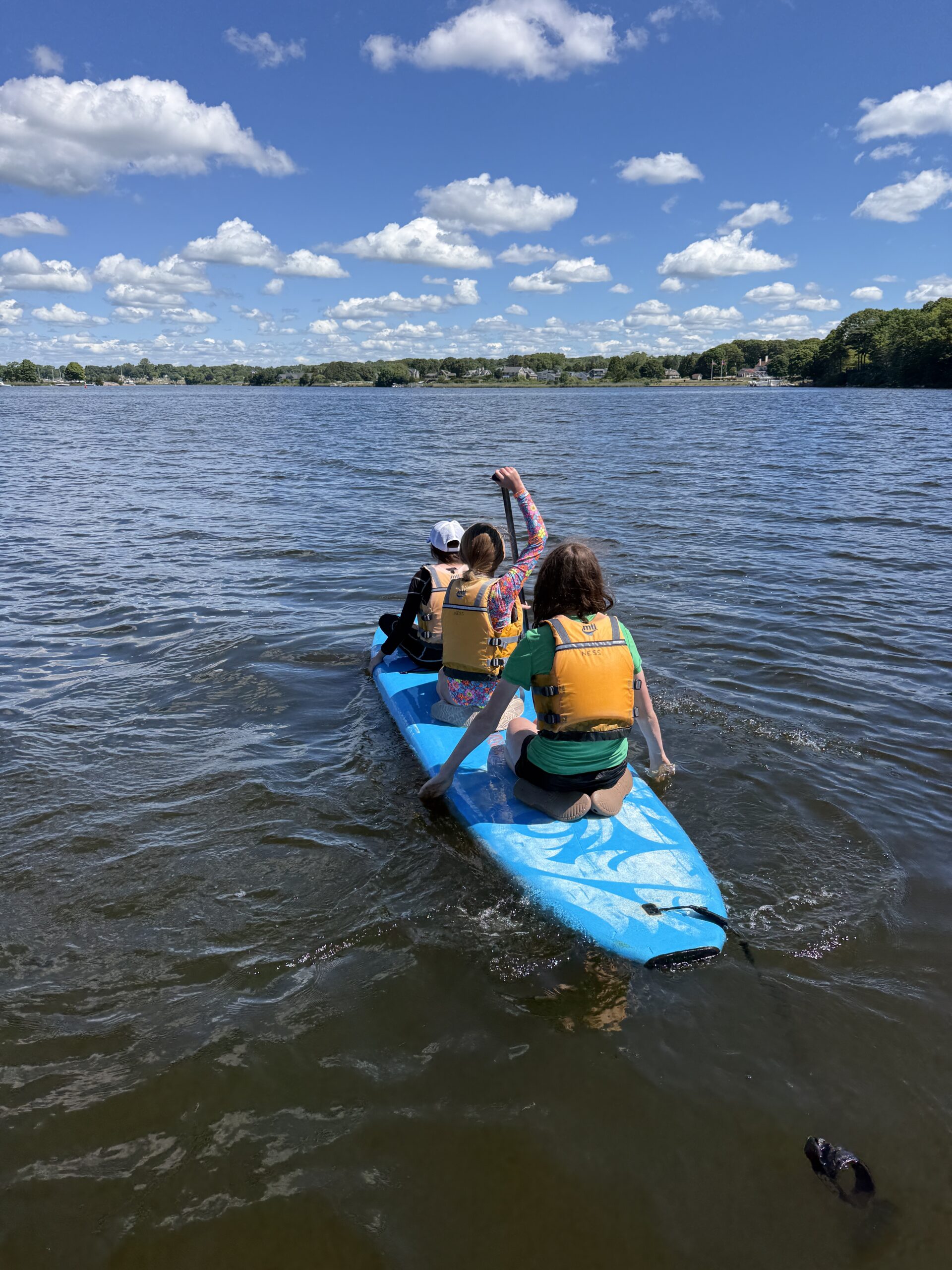 su26 week01 paddleboard